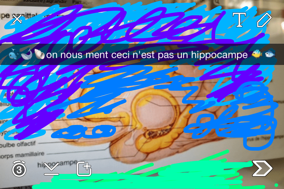 Blagues en médecine, PASS